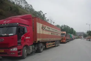 Nguy cơ ùn ứ nông sản ở cửa khẩu do COVID-19