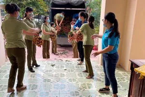 Quản lý thị trường bán vải thiều giúp người dân Bắc Giang