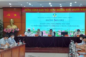 Lo COVID-19 ảnh hưởng đến vùng sản xuất tôm, cá lớn nhất nước