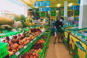 Đưa hàng thiết yếu vào TP.HCM gặp khó, hỏa tốc tháo gỡ