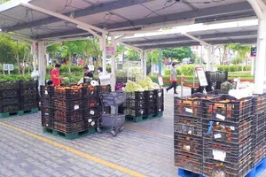 Hàng hóa cung ứng cho phía Nam dồi dào, chỉ vướng khâu vận chuyển