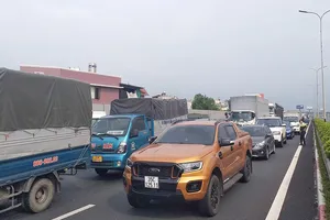 Phân bón, thức ăn chăn nuôi... tắc đường vì không được quá cảnh