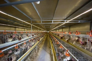 Đứt gãy sản xuất, ứ đọng sản phẩm do lưu thông khó khăn