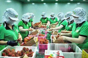 Tin vui cho hàng hóa xuất khẩu của Việt Nam sang Mỹ