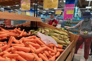 Bộ NN&PTNT thành lập tổ công tác chỉ đạo sản xuất, tiêu thụ nông sản phía Bắc