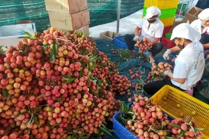 Bắc Giang, Hải Dương cung ứng được bao nhiêu thực phẩm cho Hà Nội và các tỉnh?