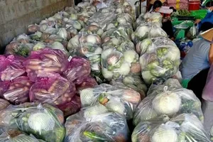 2 phương án dự phòng cung ứng thực phẩm cho TP.HCM, Bình Dương