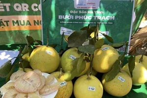 Xúc tiến tiêu thụ trái cây đặc sản nổi tiếng 