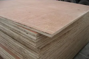 Mỹ gia hạn điều tra chống lẩn tránh thuế với gỗ dán cứng Việt Nam