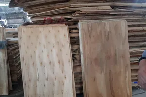 Việt Nam và Mỹ đạt thỏa thuận về cuộc điều tra liên quan đến gỗ 