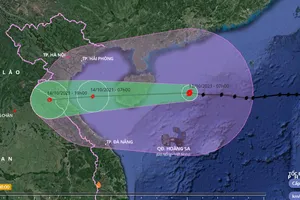 Bão số 8 giật cấp 14 đang cách quần đảo Hoàng Sa 260 km