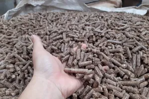 Phụ phẩm bỏ đi bất ngờ mang về cho Việt Nam 350 triệu USD/năm