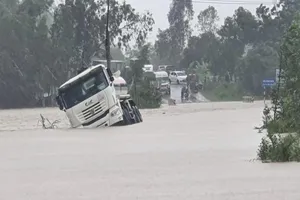 4 người chết, sơ tán hàng ngàn người vì mưa lũ ở Nam Trung bộ