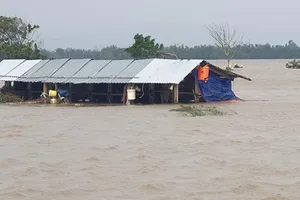 18 người chết và mất tích do lũ dữ ở Nam Trung bộ, Tây Nguyên