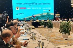  Thoát cảnh được mùa mất giá chỉ với 500.000 đồng/tháng