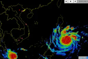 Thủ tướng yêu cầu ứng phó khẩn cấp với siêu bão RAI