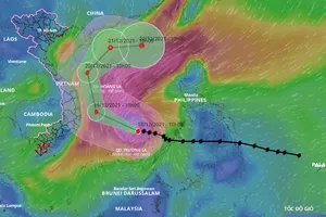 Vì sao bão số 9 có hướng đi kỳ dị, chạy dọc bờ biển rồi ngoặt ra ngoài