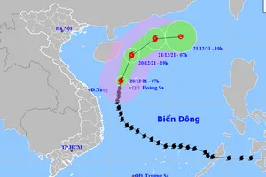 Bão số 9 hướng ra biển, đang suy yếu dần