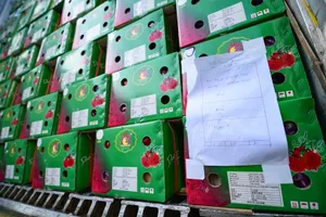 'Bán tiểu ngạch là do...thương nhân Trung Quốc quyết định'