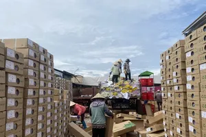 Hàng triệu cành hoa Đà Lạt thoát nguy cơ làm phân 