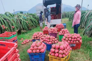 Phấn đấu đến năm 2050, nông nghiệp Việt Nam thuộc tốp đầu thế giới