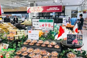 Việt Nam xuất siêu sang Ukraine, Nga...