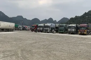 Xuất khẩu hàng sang Trung Quốc: Doanh nghiệp than khó