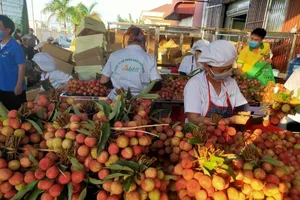 Bộ Công Thương đang xây dựng bản đồ nông sản Việt Nam