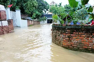 Đã có 6 người chết do mưa lớn ở miền Bắc 