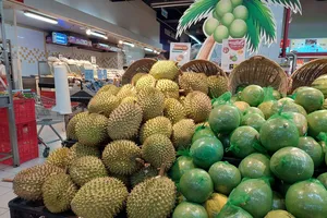 Sầu riêng Việt chính thức được cấp 'visa' sang Trung Quốc