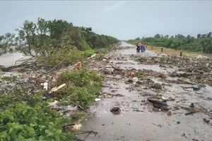 Cảnh báo nguy cơ mất an toàn tuyến đê biển ở Tây Nam bộ