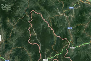 Thủ tướng chỉ đạo khẩn sau 4 trận động đất liên tiếp tại Kon Tum