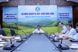 Bộ trưởng Lê Minh Hoan họp khẩn sau phản ánh rau VietGAP “rởm” biến hình vào siêu thị