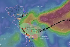 Bão số 6 đang ở trên vùng biển Quảng Trị - Quảng Ngãi
