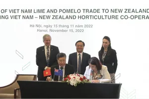 Chanh và bưởi của Việt Nam chính thức được xuất khẩu sang New Zealand