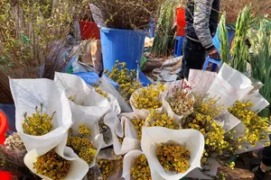 30 Tết, giá hoa tươi đã hạ nhiệt nhưng vẫn ở mức cao