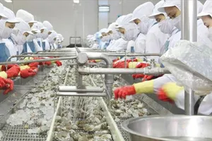 Top 7 sản phẩm thuỷ sản Trung Quốc mua nhiều nhất từ Việt Nam