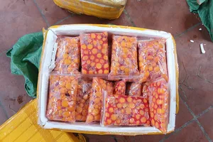 Phát hiện thịt trâu hết hạn, trứng non bốc mùi suýt tuồn ra thị trường