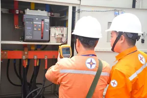 TS Trần Đình Thiên: 'Giá điện Việt Nam còn nặng tính bao cấp'