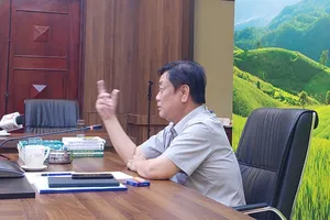 Giá gạo đang rất cao, Bộ trưởng nói 'thời cơ không đợi chúng ta'