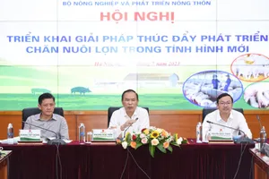 Thứ trưởng: 'Ngày nào cũng thịt heo luộc với kho tàu thì làm sao ăn hết được”