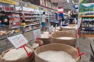 VCCI kiến nghị giảm các điều kiện về kinh doanh xuất khẩu gạo