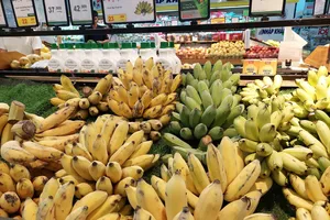 Cảnh báo nhiều lô hàng chuối, xoài, sầu riêng... vi phạm về kiểm dịch thực vật