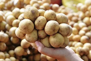 Bài học từ 10kg bòn bon bị Iceland cảnh báo