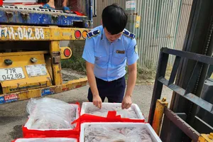 4,5 tấn cá khoai 'tẩm' formol được phát hiện trên 1 xe tải ở Thanh Hoá 