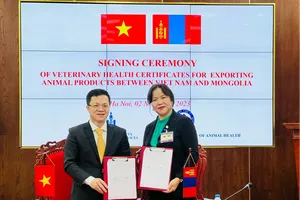 Việt Nam đồng ý nhập khẩu thịt cừu, thịt dê đông lạnh từ Mông Cổ