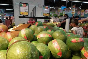 Xuất khẩu rau quả đạt kỷ lục, tăng 74% 