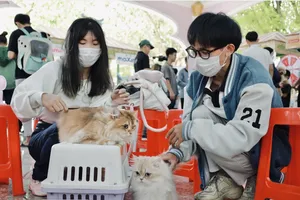 Chưa nhất trí về lập hiệp hội cắt tỉa tạo mẫu lông thú cưng 