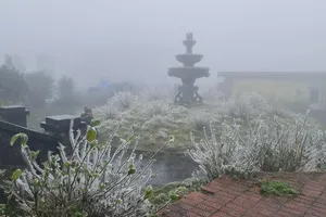 Thủ tướng yêu cầu chủ động ứng phó với rét hại ở miền Bắc