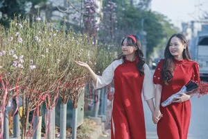 Dự báo thời tiết Tết Nguyên đán Giáp Thìn 2024